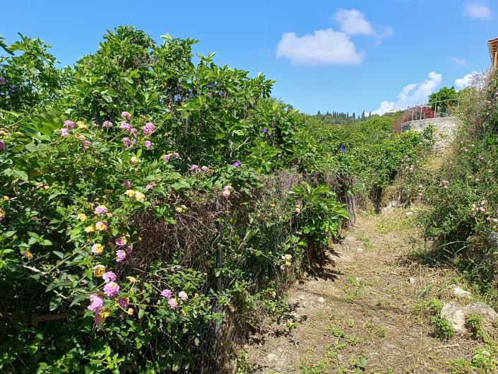 Image No.25-Land for sale