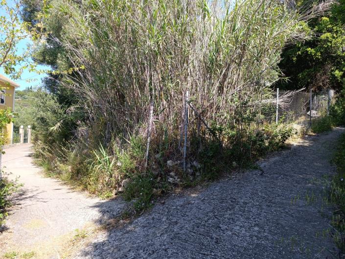 Image No.27-Land for sale