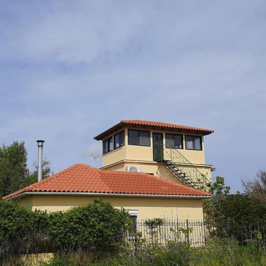 Image No.9-Vineyard for sale