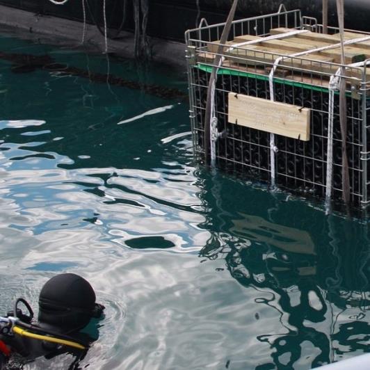 Image No.13-Vineyard for sale