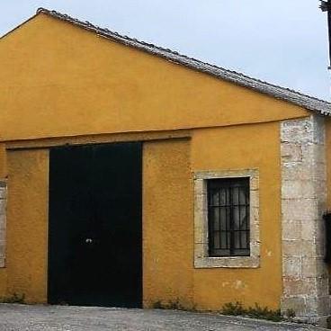 Image No.20-Vineyard for sale