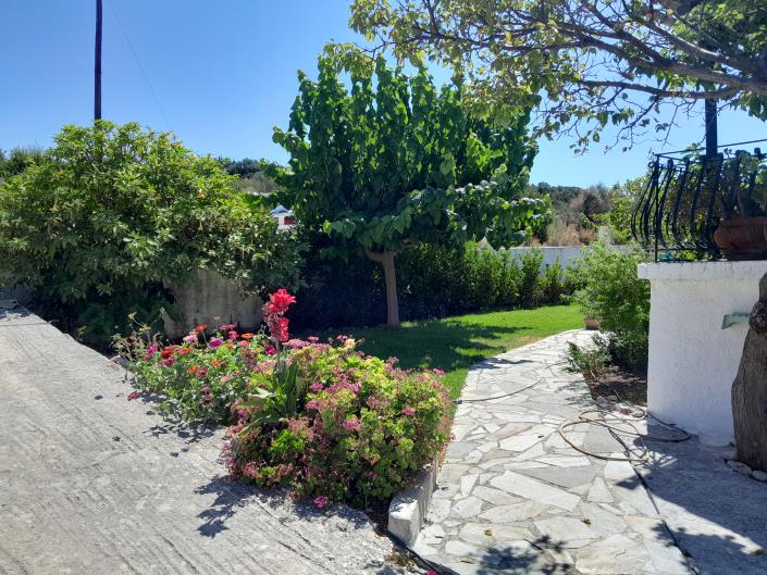 Image No.5-3 Bed House for sale