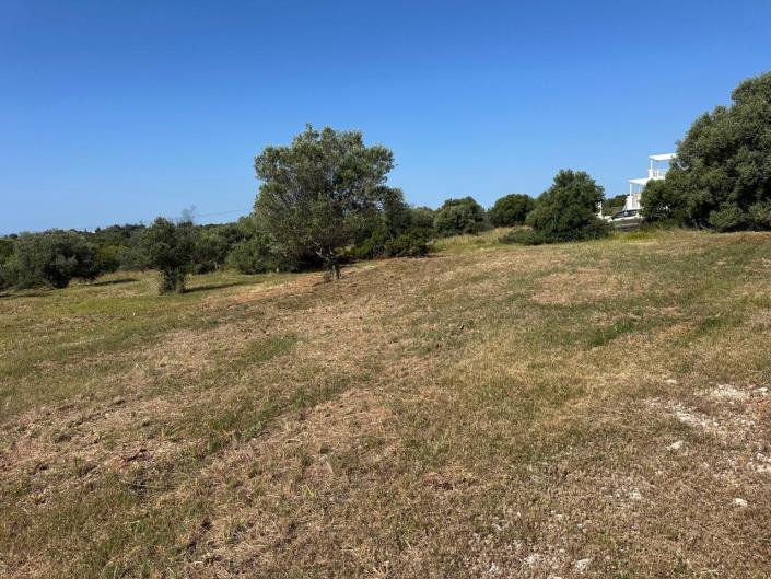 Image No.1-Land for sale