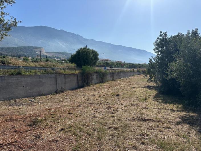 Image No.4-Land for sale