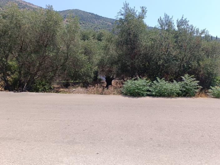 Image No.8-Land for sale