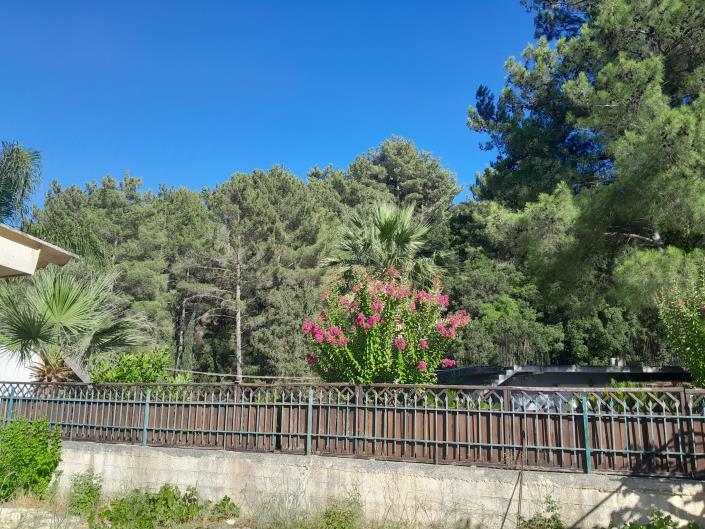 Image No.13-Maison de 2 chambres à vendre à Tzanata