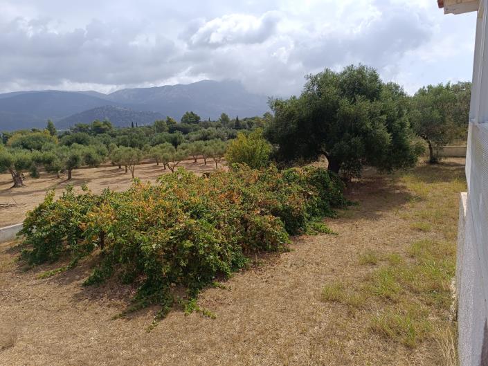 Image No.44-3 Bed House for sale