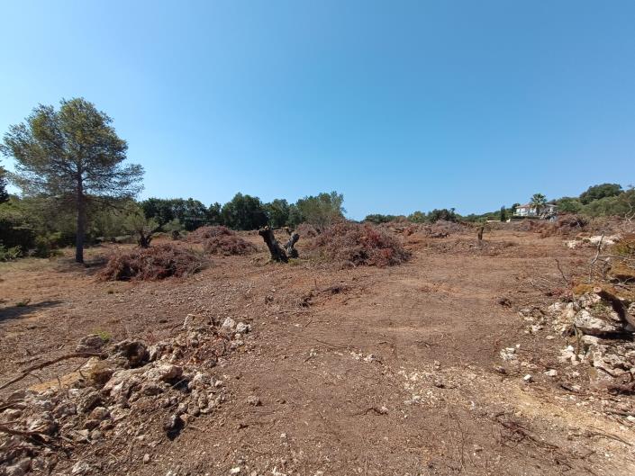 Image No.5-Terre à vendre à Keramies