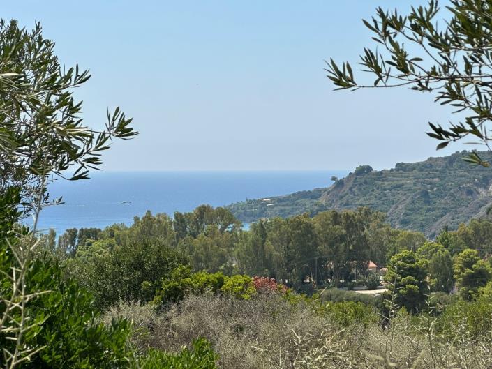 Image No.1-Land for sale