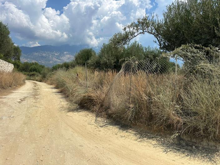 Image No.8-Terre à vendre à Kountourata