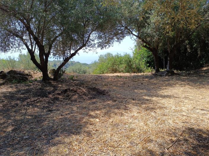 Image No.4-Terre à vendre à Ratzakli