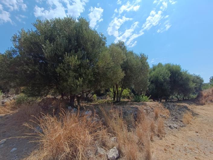 Image No.5-Terre à vendre à Ratzakli