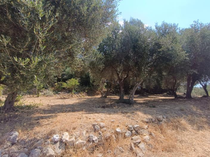 Image No.6-Terre à vendre à Ratzakli