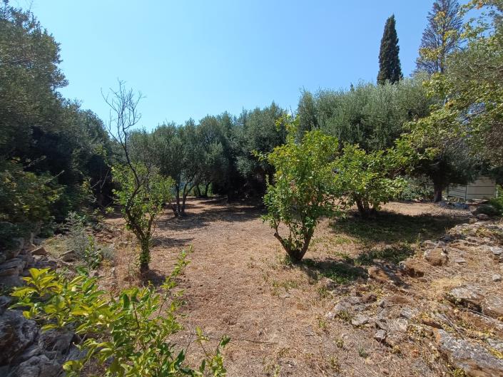 Image No.8-Terre à vendre à Ratzakli