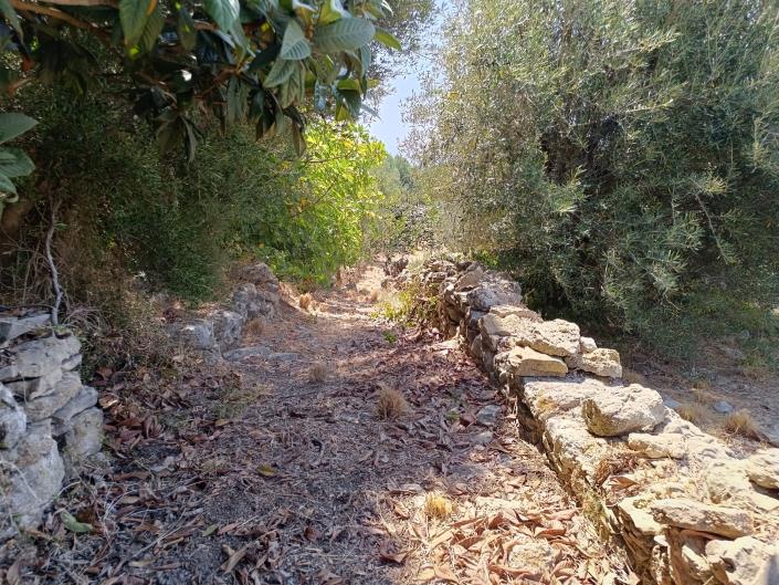 Image No.9-Terre à vendre à Ratzakli