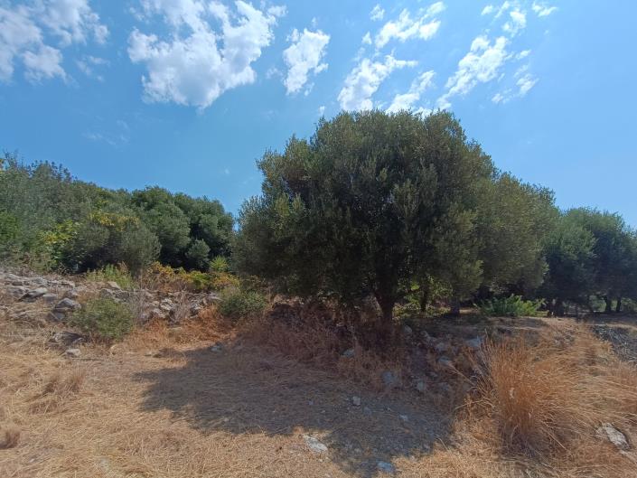 Image No.11-Terre à vendre à Ratzakli