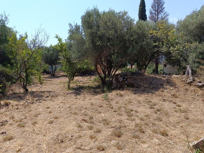 Image No.14-Terre à vendre à Ratzakli