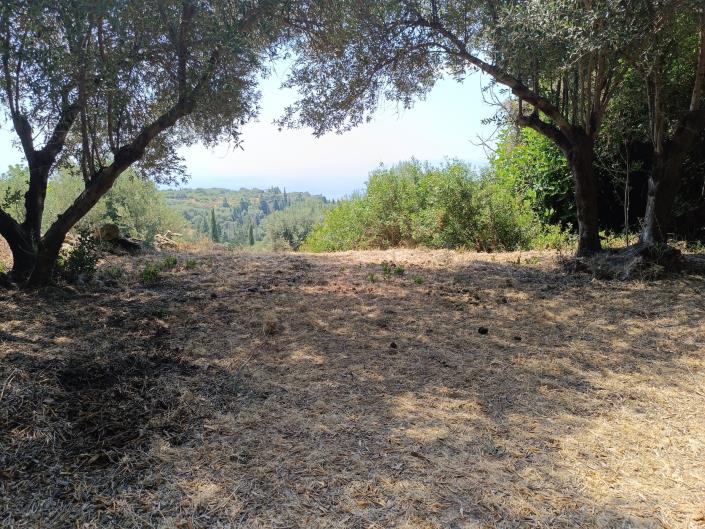 Image No.15-Terre à vendre à Ratzakli