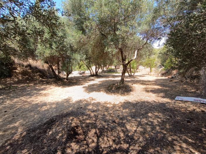 Image No.17-Terre à vendre à Ratzakli