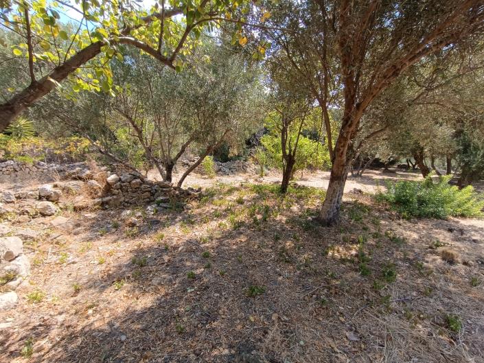 Image No.19-Terre à vendre à Ratzakli