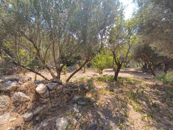 Image No.21-Terre à vendre à Ratzakli