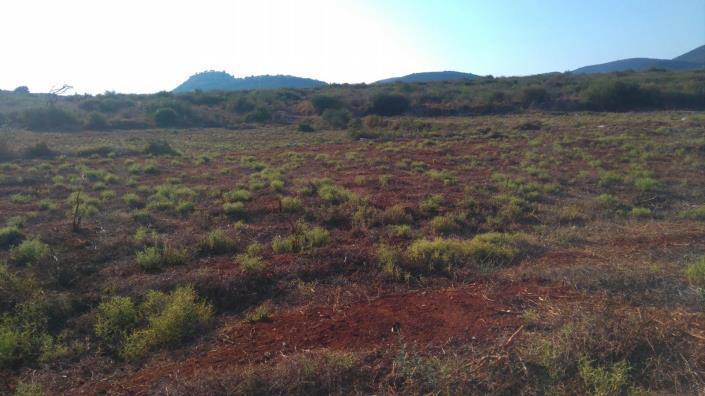 Image No.1-Land for sale