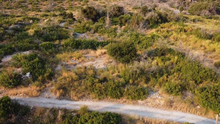 Image No.6-Terre à vendre à Lourdas