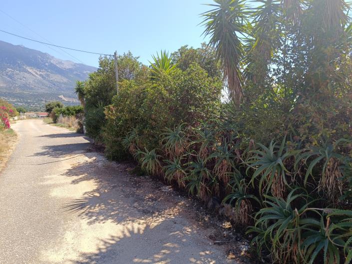 Image No.39-3 Bed House for sale