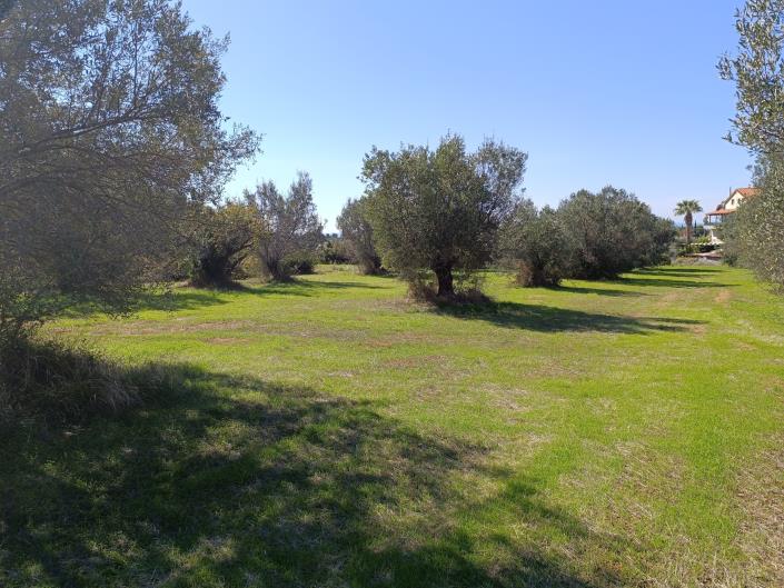 Image No.4-Land for sale