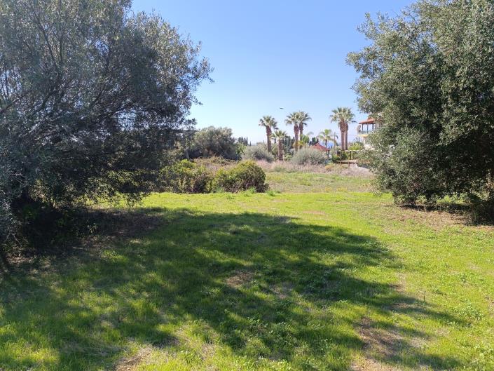 Image No.5-Land for sale