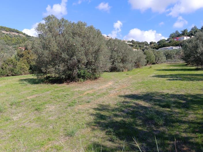 Image No.6-Land for sale