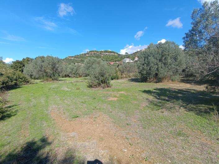 Image No.8-Land for sale