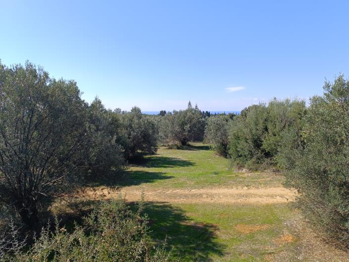 Image No.3-Land for sale