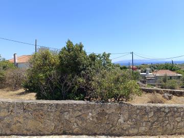 IMG_20250728_143720-scaled