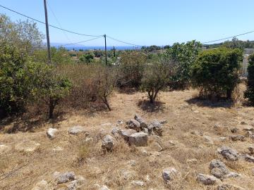 IMG_20250728_144306-scaled