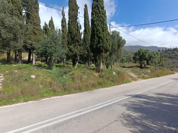 Image No.4-Terre à vendre à Simotata