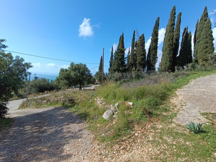 Image No.3-Terre à vendre à Simotata