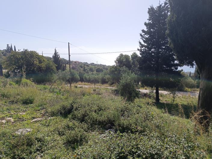 Image No.6-Terre à vendre à Simotata