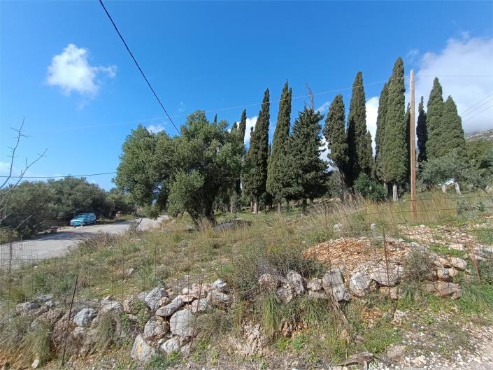 Image No.7-Terre à vendre à Simotata