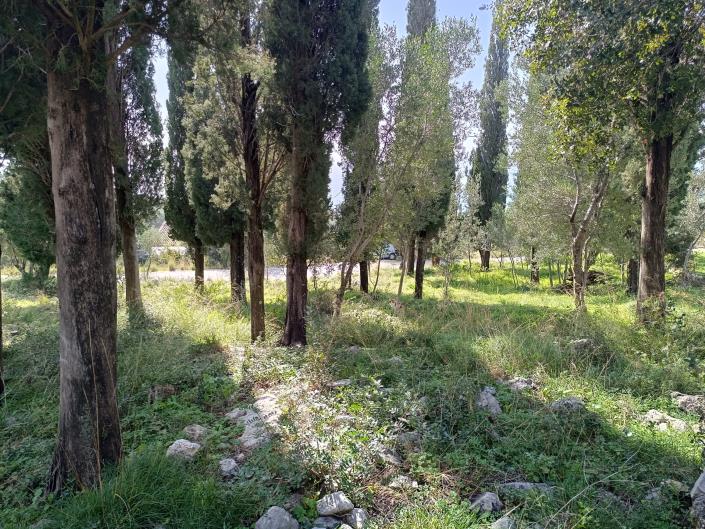 Image No.8-Terre à vendre à Simotata