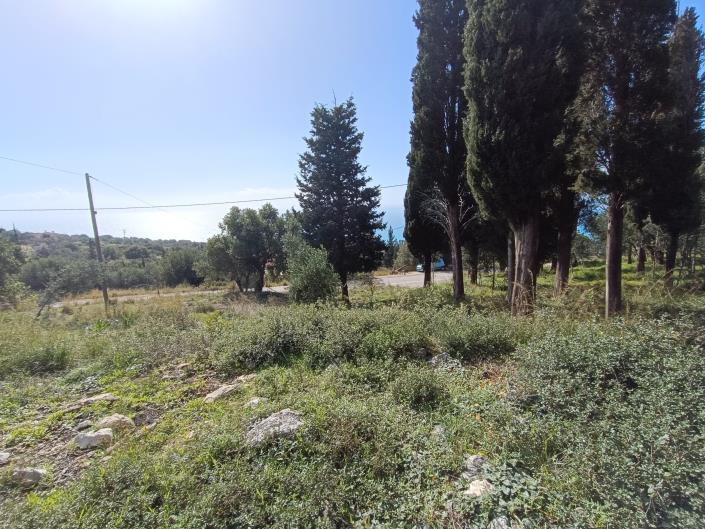 Image No.9-Terre à vendre à Simotata