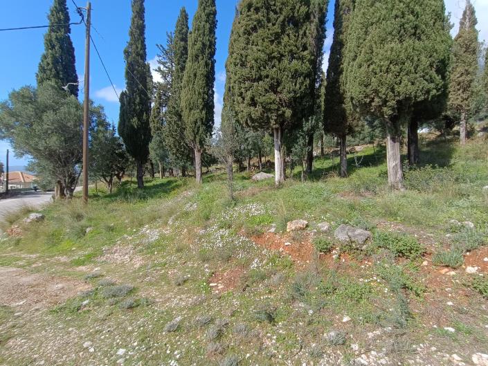 Image No.10-Terre à vendre à Simotata