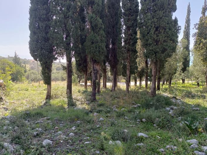 Image No.13-Terre à vendre à Simotata