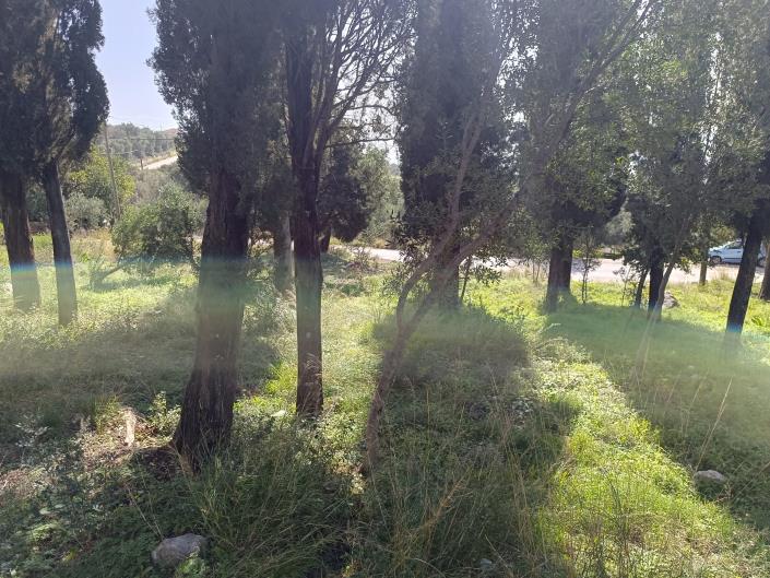 Image No.14-Terre à vendre à Simotata