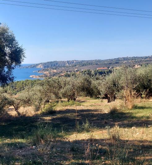 Image No.2-Terrain à vendre à Mousata