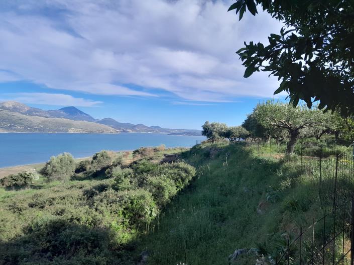 Image No.3-Terre à vendre à Kouvalata