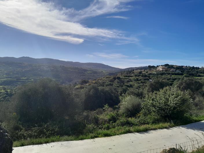 Image No.4-Terre à vendre à Kouvalata