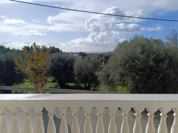 IMG_20260127_105746-scaled