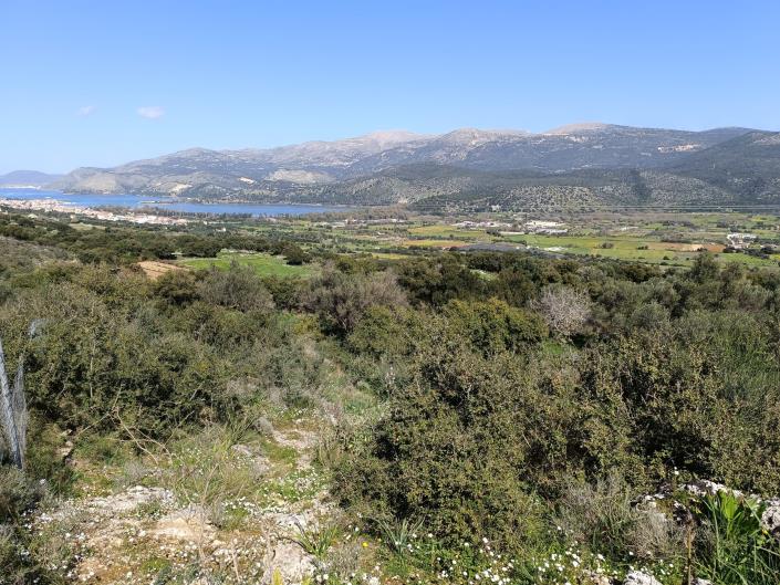 Image No.2-Plot for sale