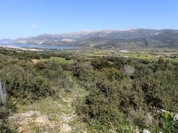 IMG_20260310_124002-scaled